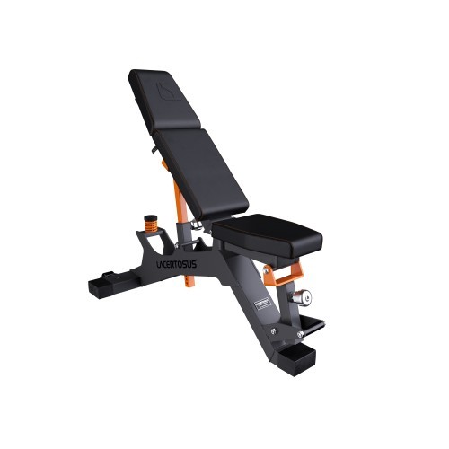 Adjustable Bench Club Line Lacertosus Adjustable Benches -