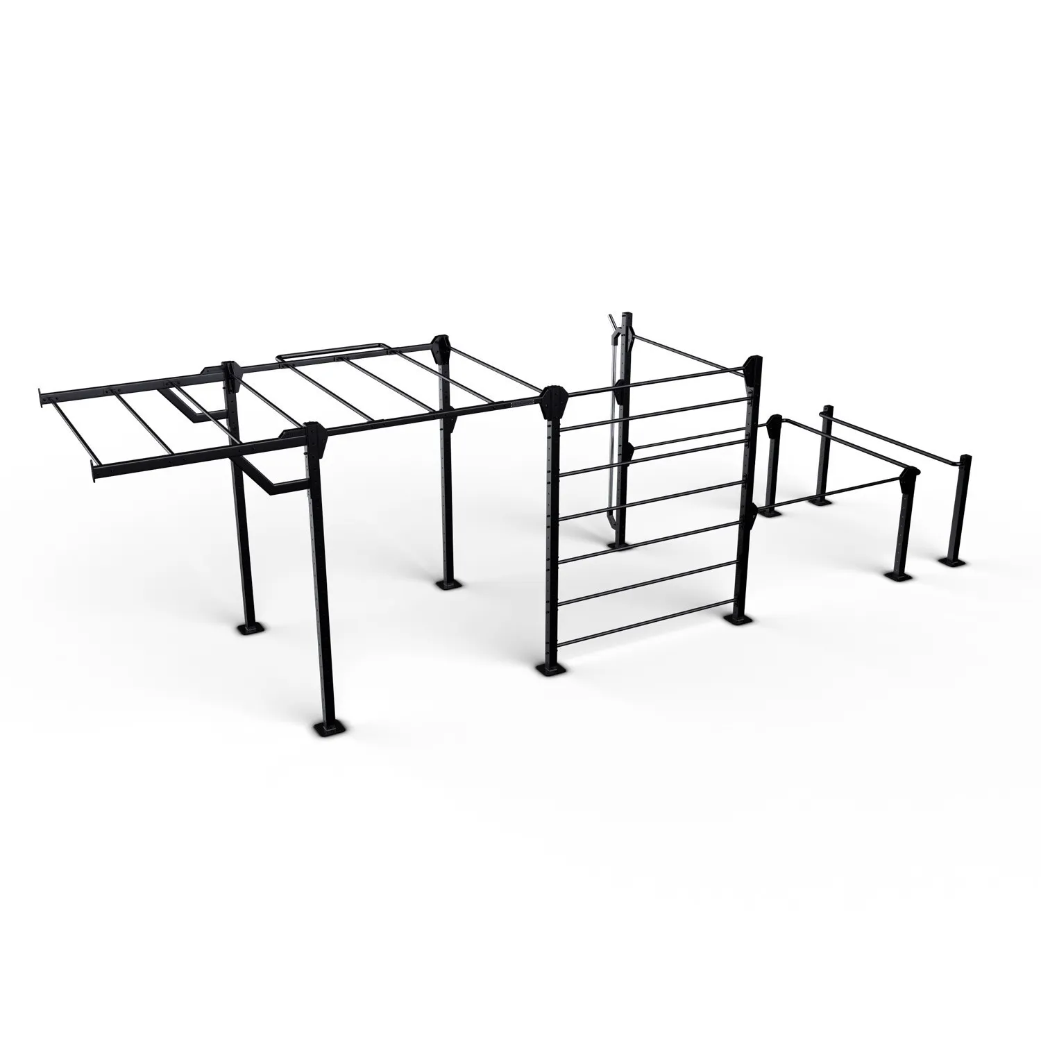 School of best sale calisthenics rig